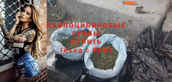 ешки Иннополис